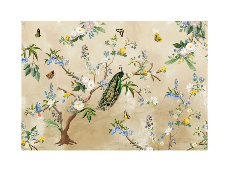 Behang Tropische vogels