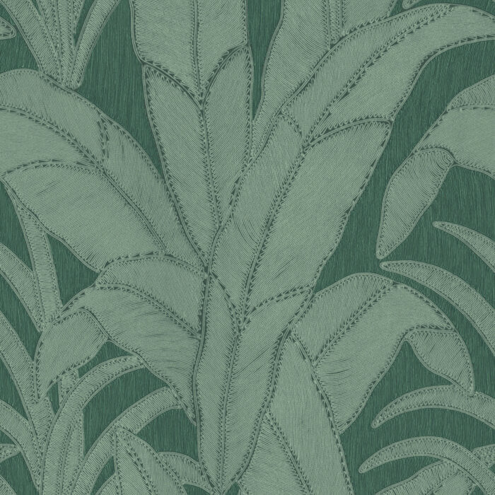 Arte Botanic - Pine