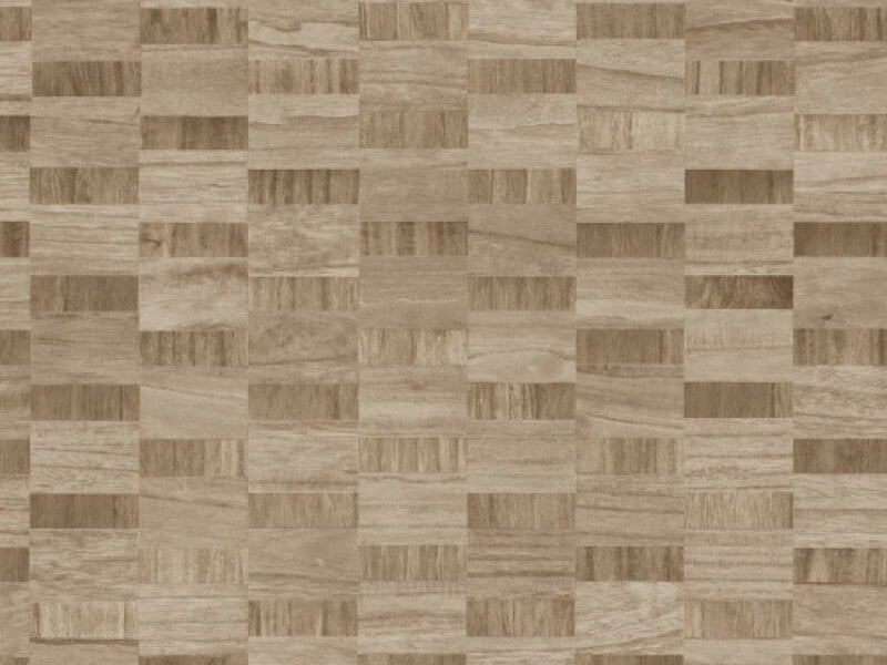 Arte Tomentosa - IM21