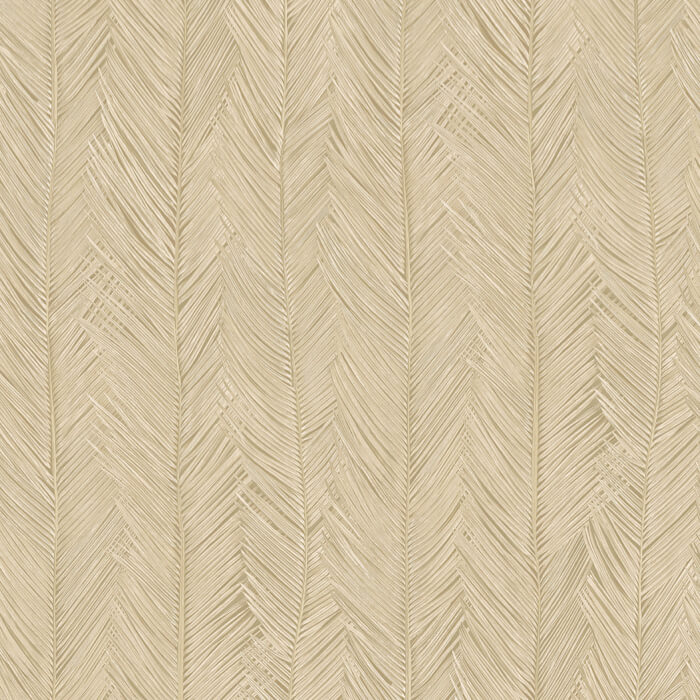 Arte Itaya - Coquille