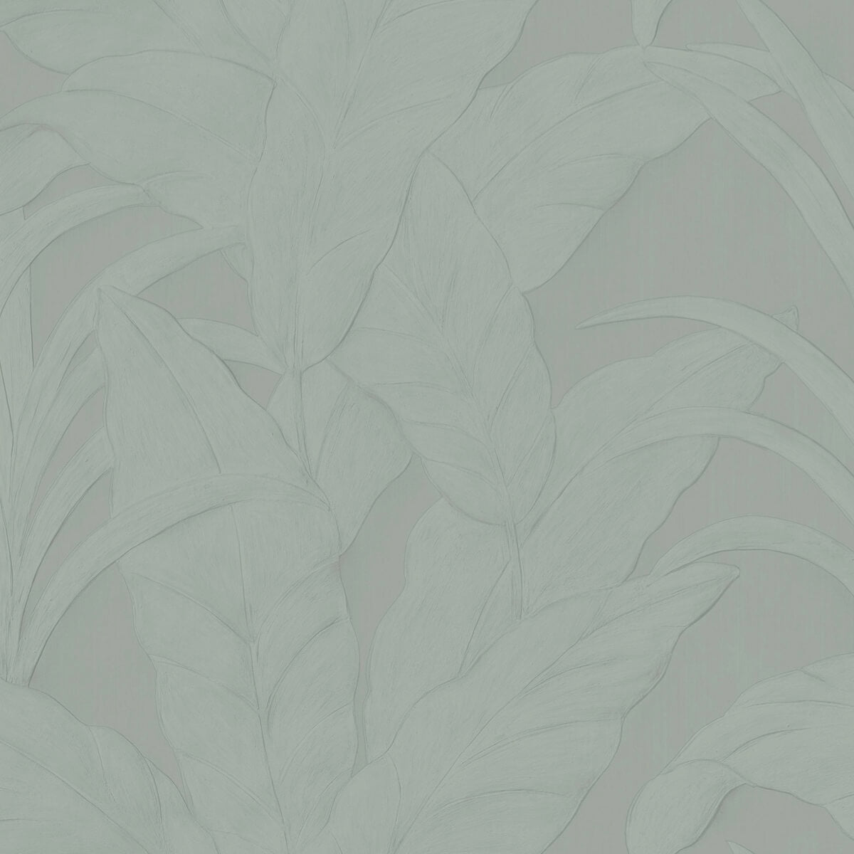 Arte Musa - Eucalyptus
