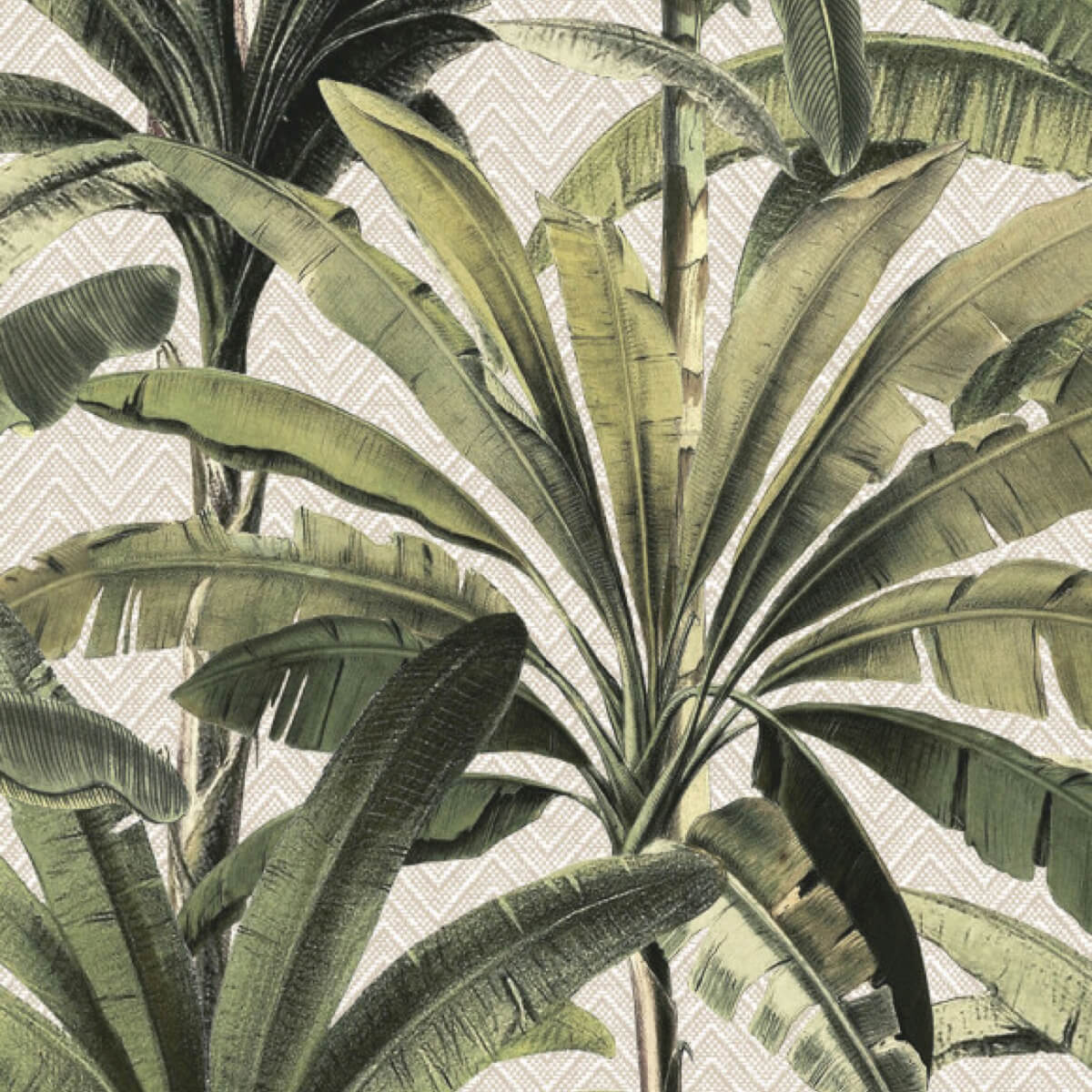 Arte Palmera - 11140