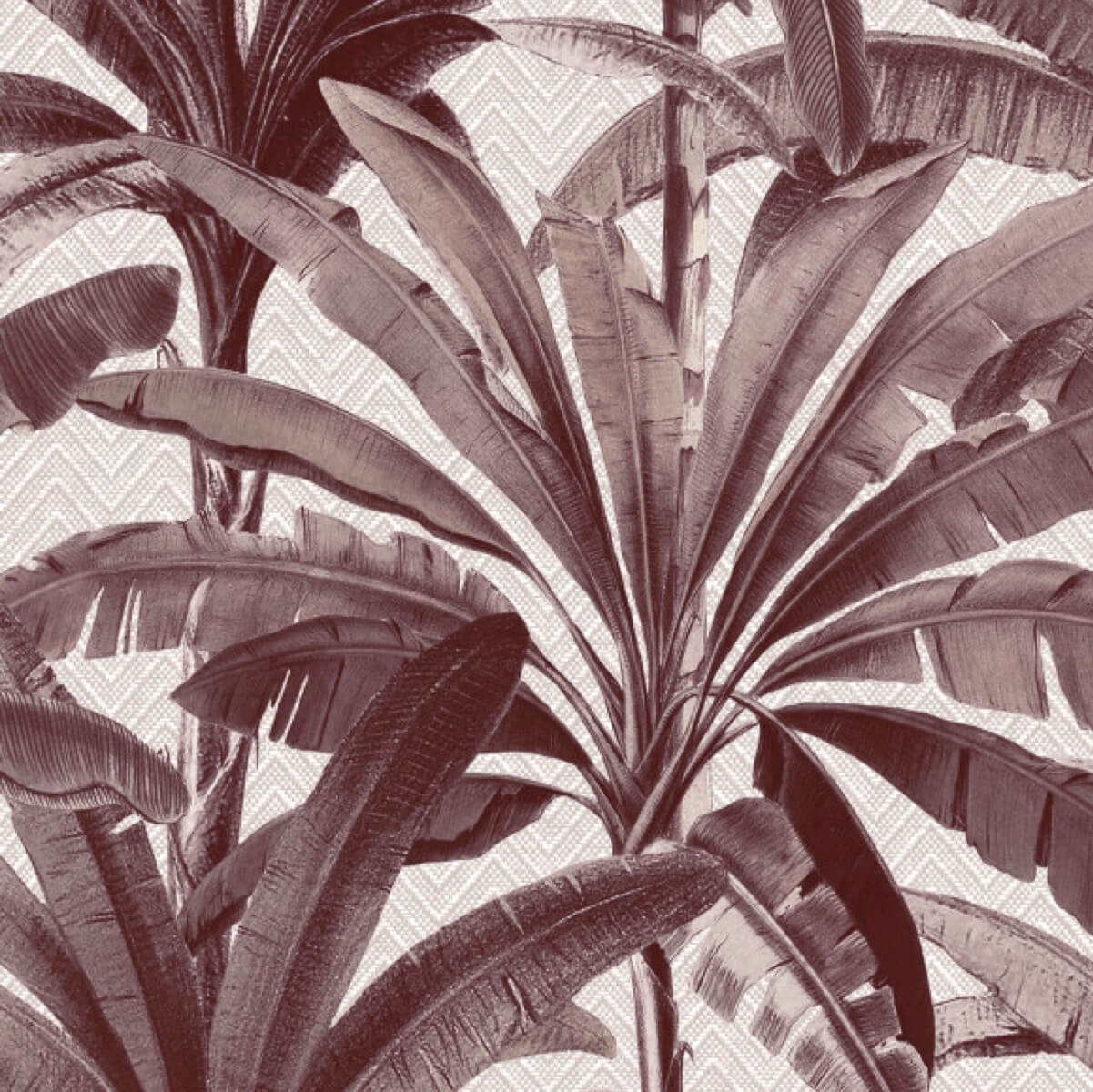Arte Palmera - 11141