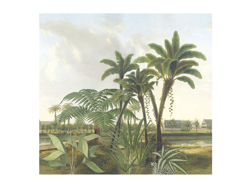 Behang met Palmbomen