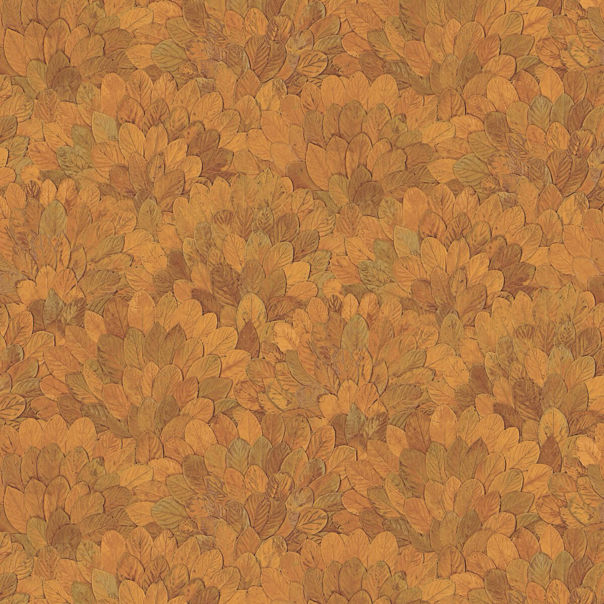 Casamance Feijoa - 76841324