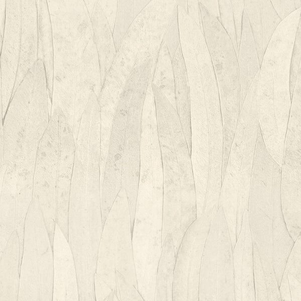 Casamance Neluwa - 75962854
