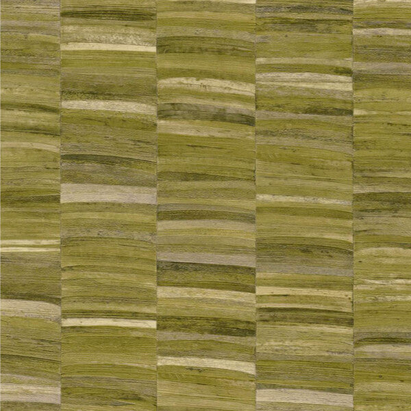 Casamance Stylosa - 76501528