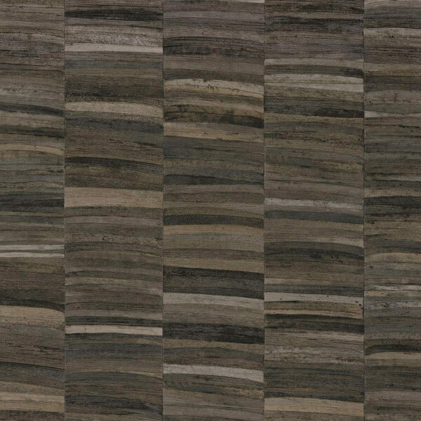 Casamance Stylosa - 76501732