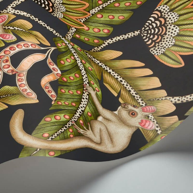 Cole & Son Bush Baby - 119/7031