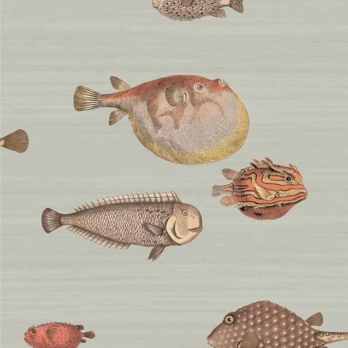 Cole & Son Acquario - 97/10030