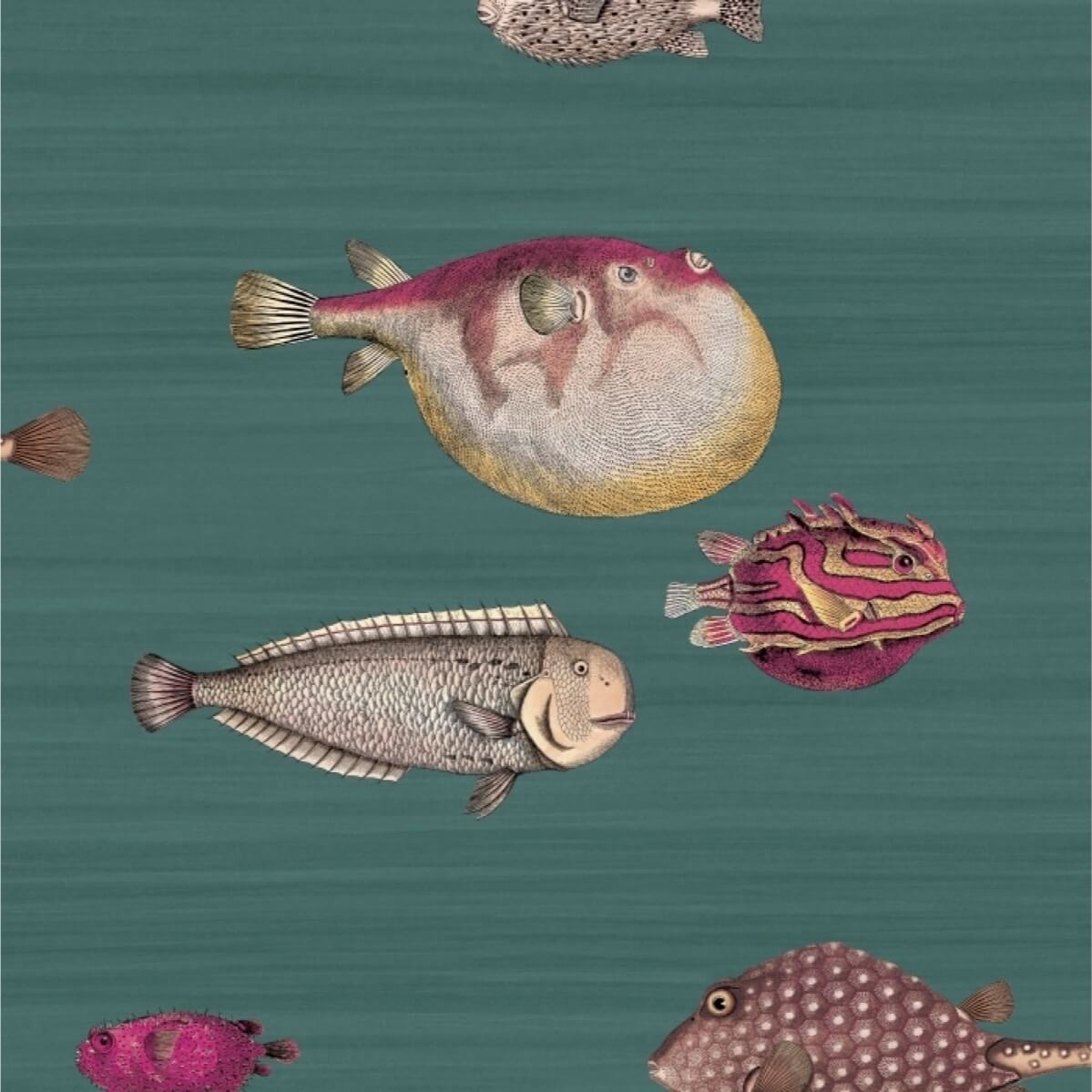 Cole & Son Acquario - 114/12024