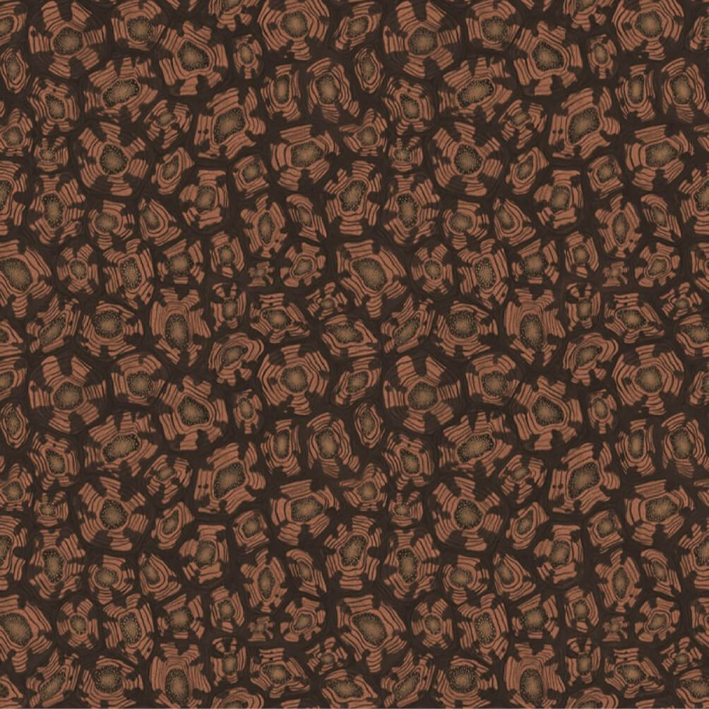 Cole and Son Savanna Shell - 119/4018