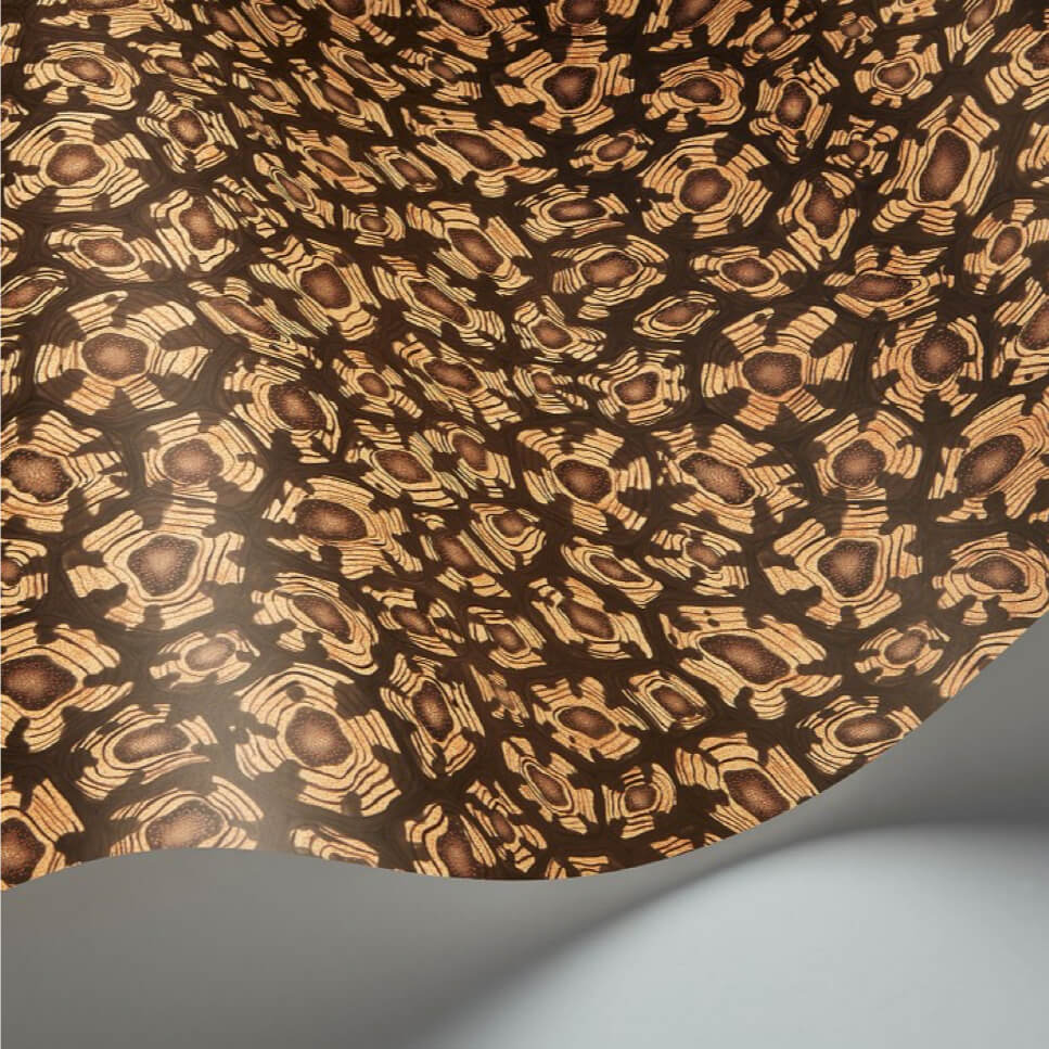 Cole and Son Savanna Shell 119/4019