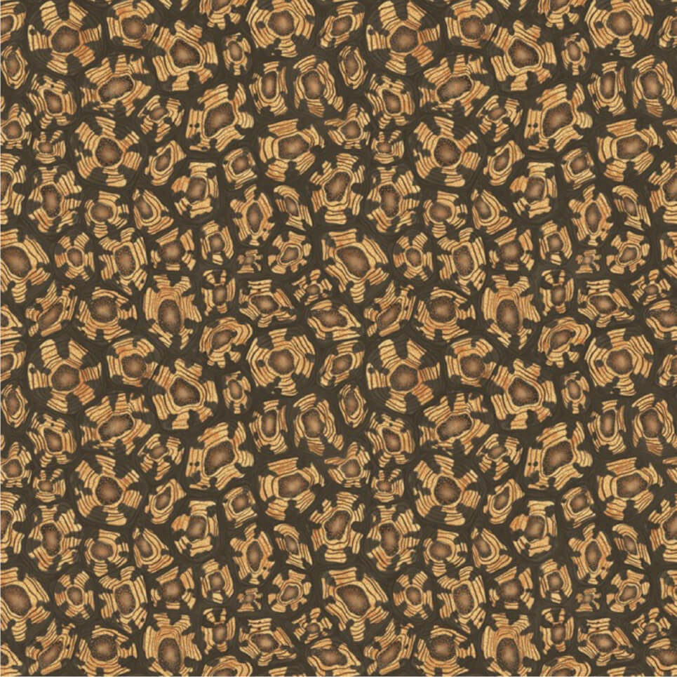 Cole and Son Savanna Shell 119/4019