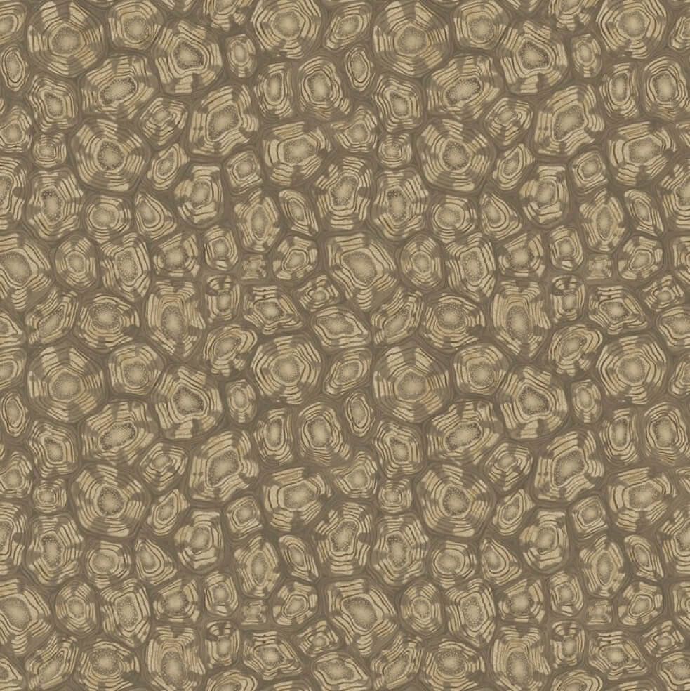 Cole and Son Savanna Shell 119/4020