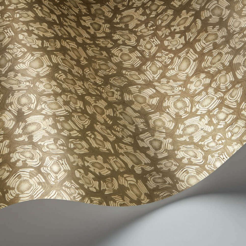 Cole and Son Savanna Shell 119/4020