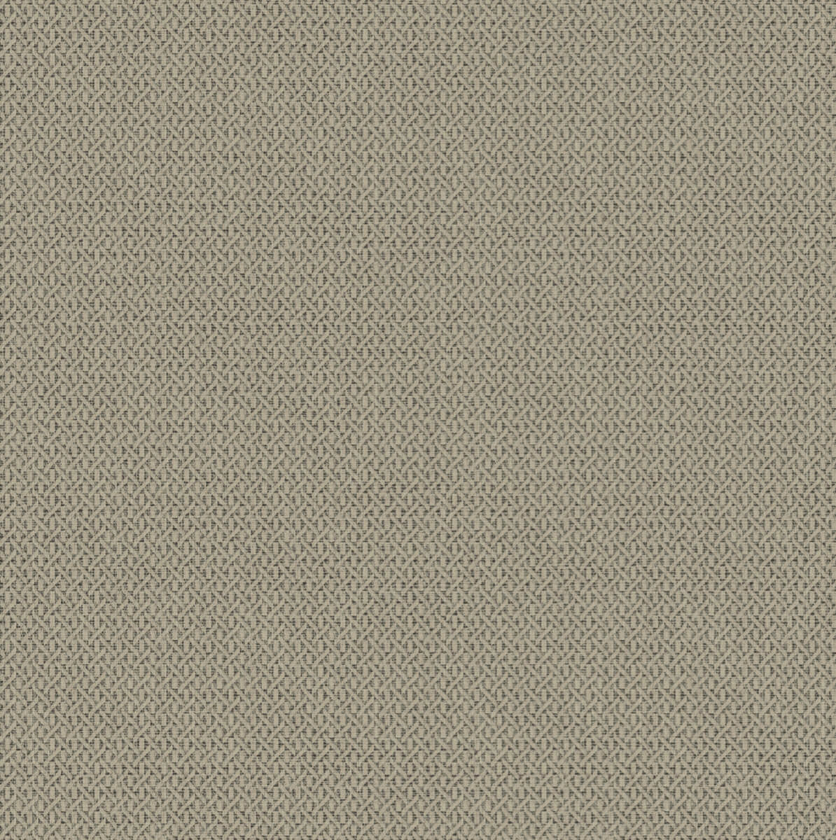 Hooked On Walls - 32643