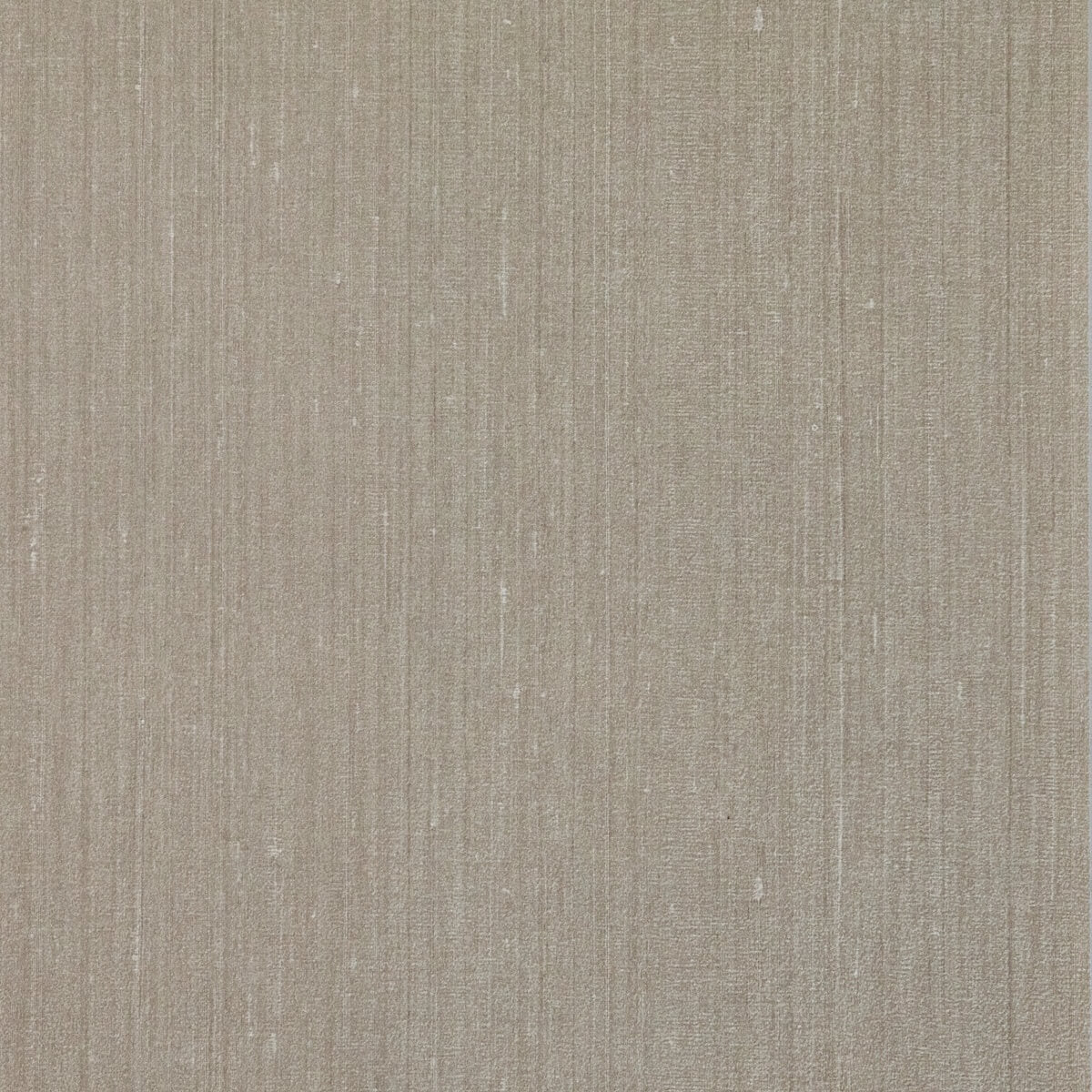 Hooked On Walls Dupion - 30621