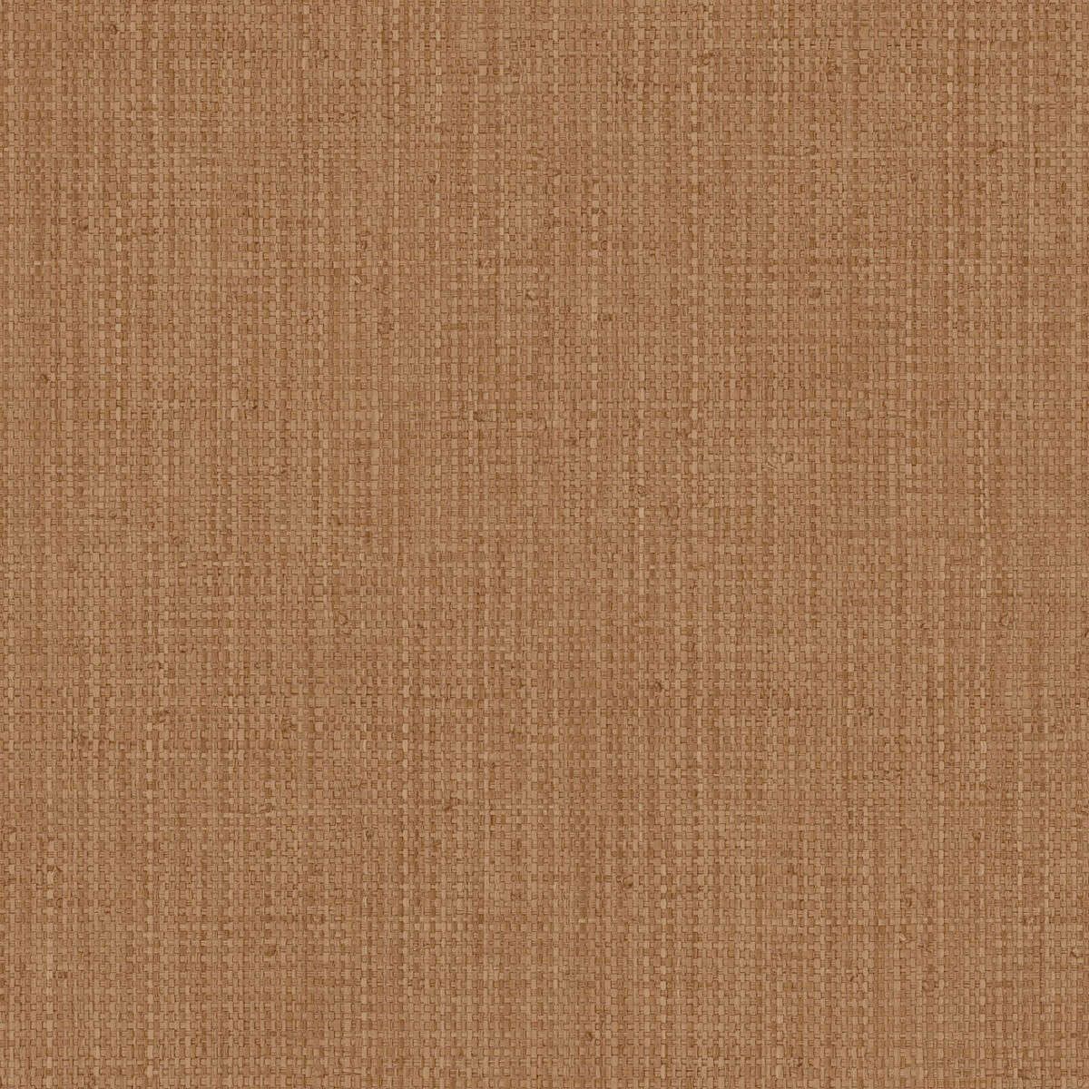 Hooked On Walls Tribu - 29305