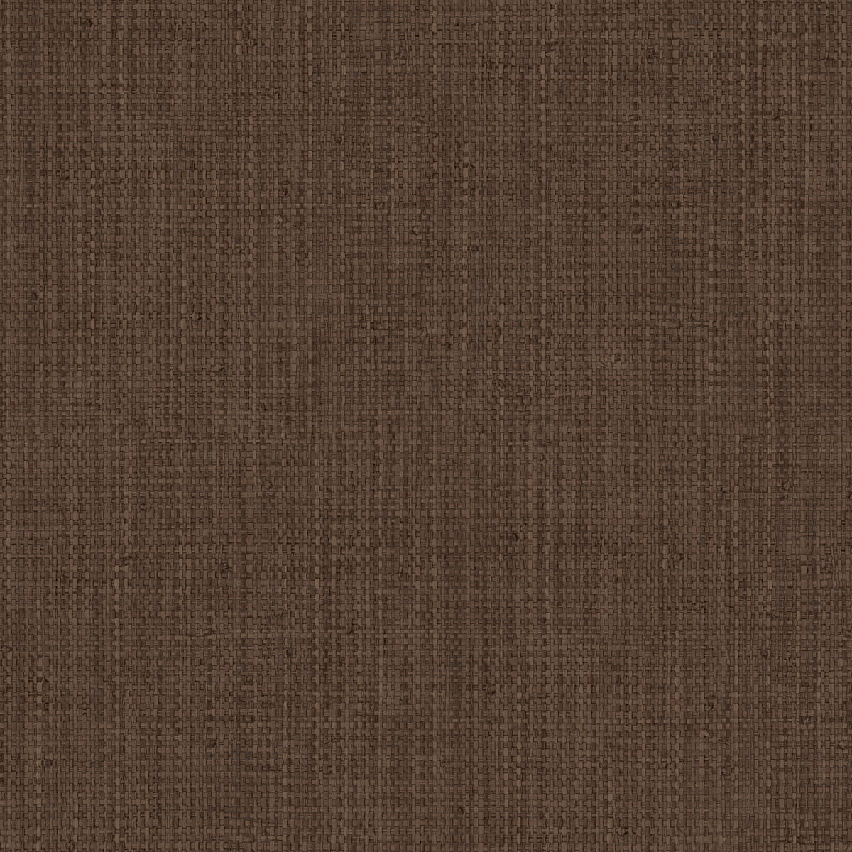 Hooked On Walls Tribu - 29306
