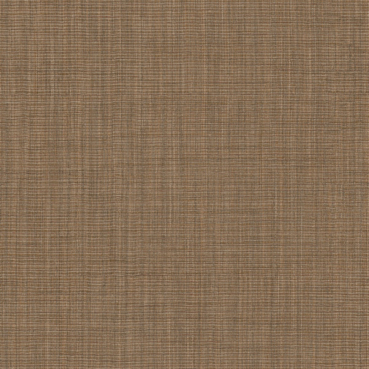 Hooked On Walls Tribu - 29324