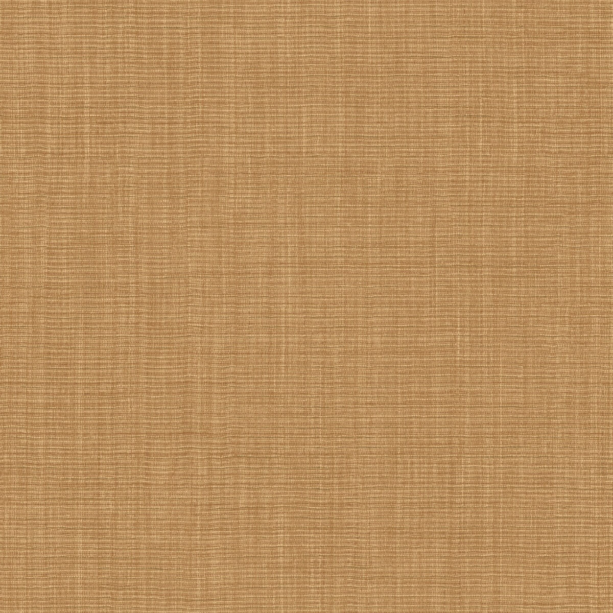 Hooked On Walls Tribu - 29325