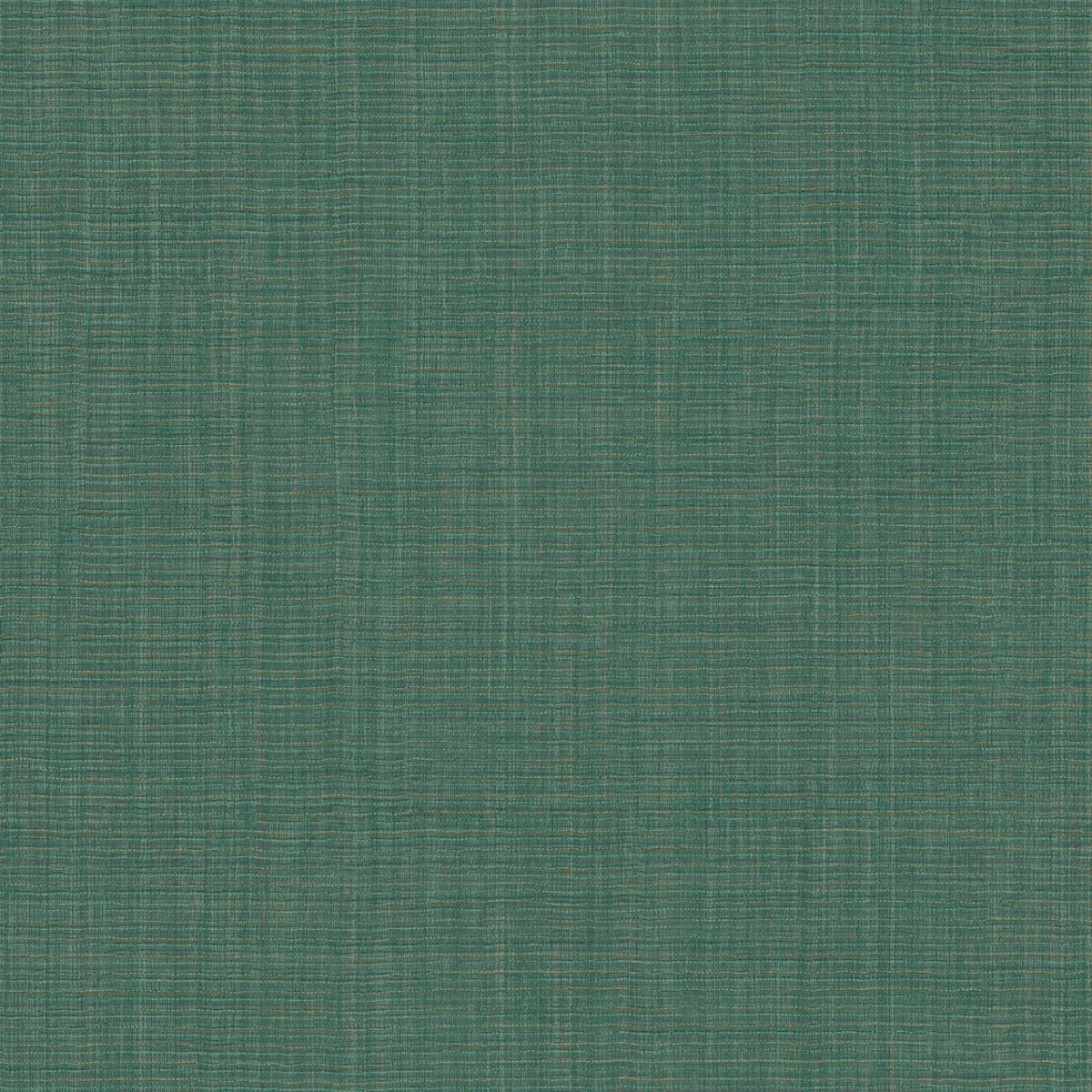 Hooked On Walls Tribu - 29327