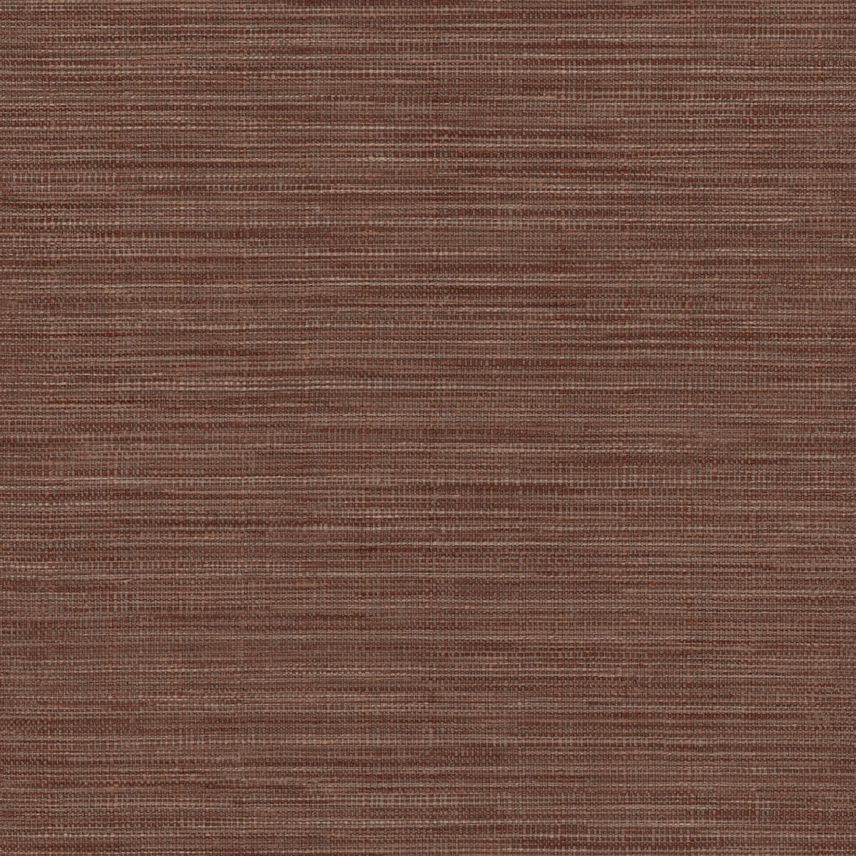 Hooked On Walls Tribu - 29341