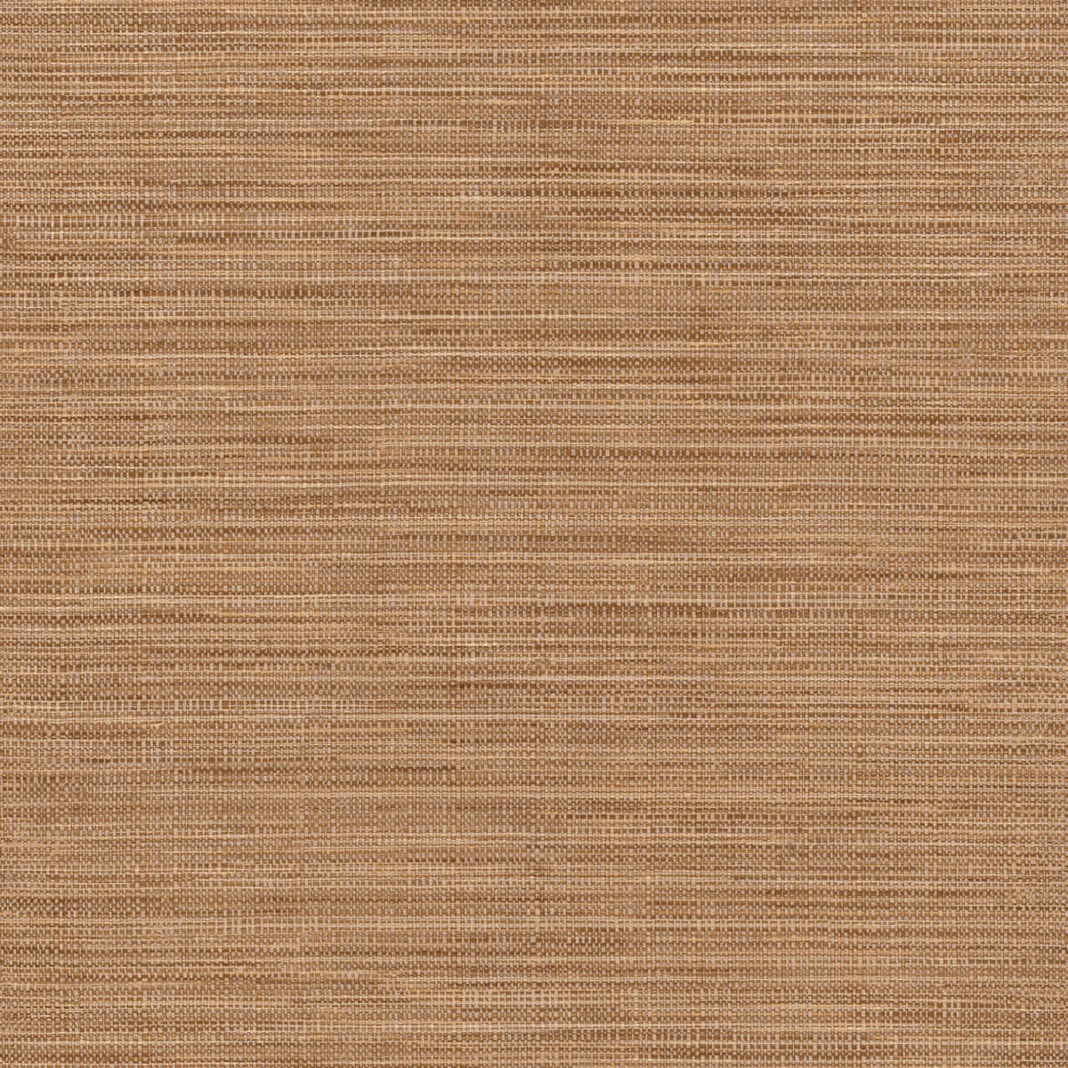 Hooked On Walls Tribu - 29343