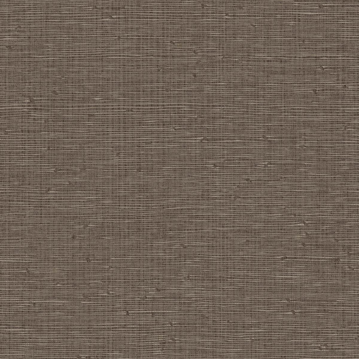 Hooked On Walls Tribu - 29353