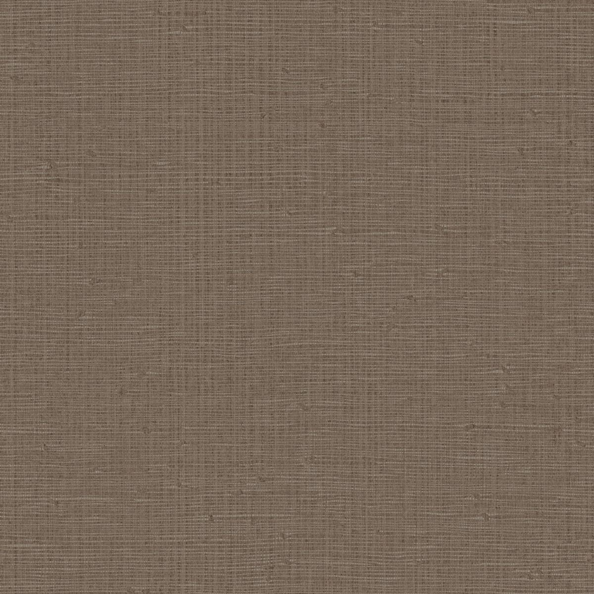 Hooked On Walls Tribu - 29355
