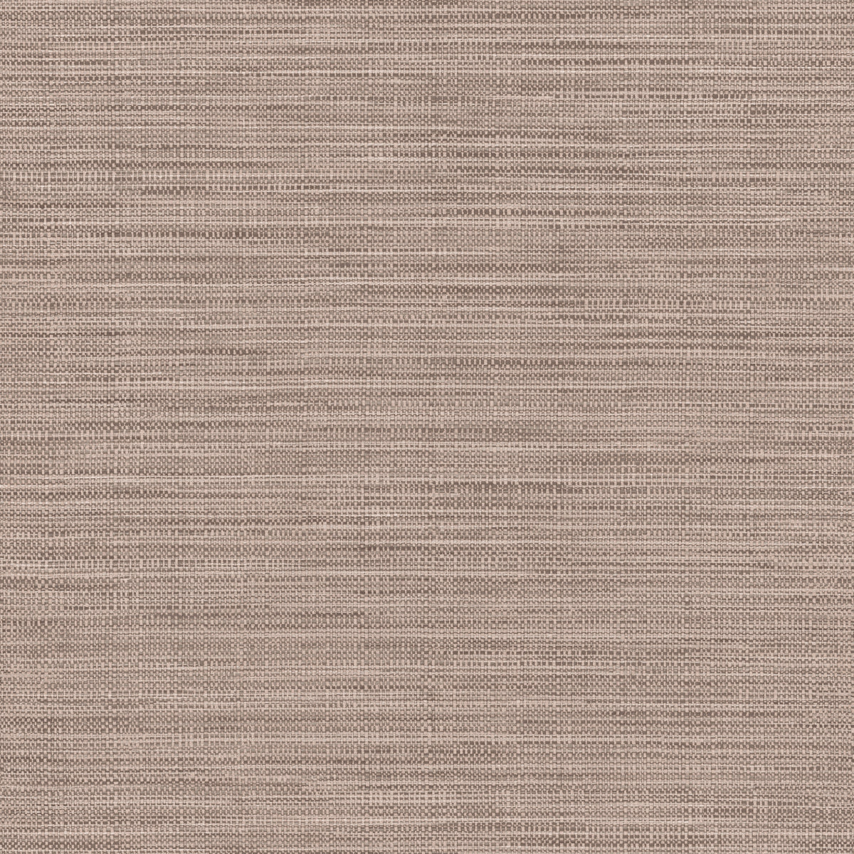 Hooked On Walls Tribu 29344