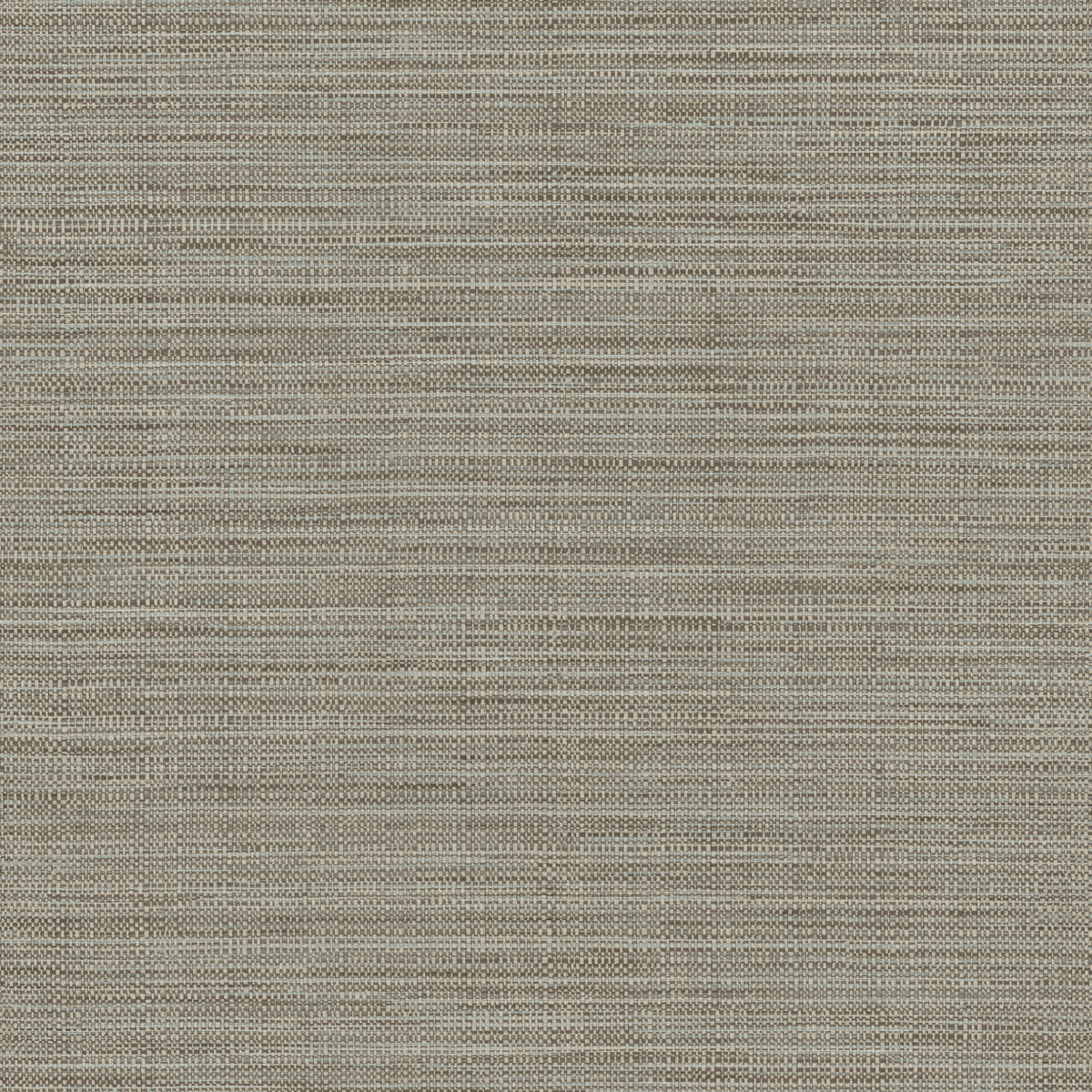 Hooked On Walls Tribu 29345