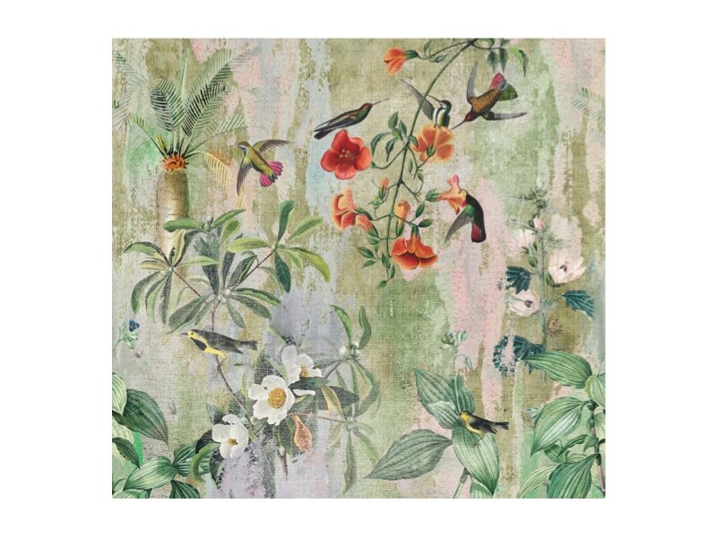 Jungle Behang Vogels