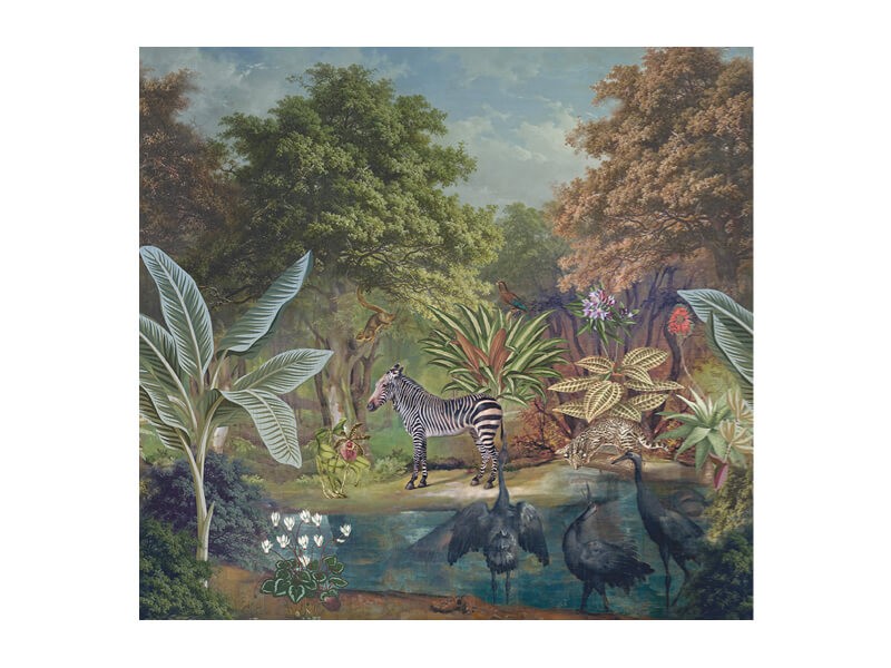 Jungle Behang Zebra
