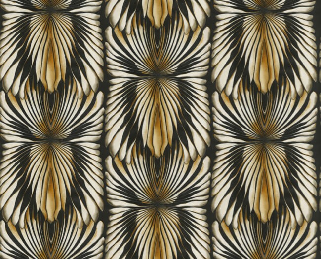 Roberto Cavalli 8 - RC19005