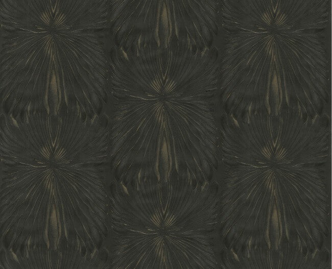 Roberto Cavalli 8 - RC19006