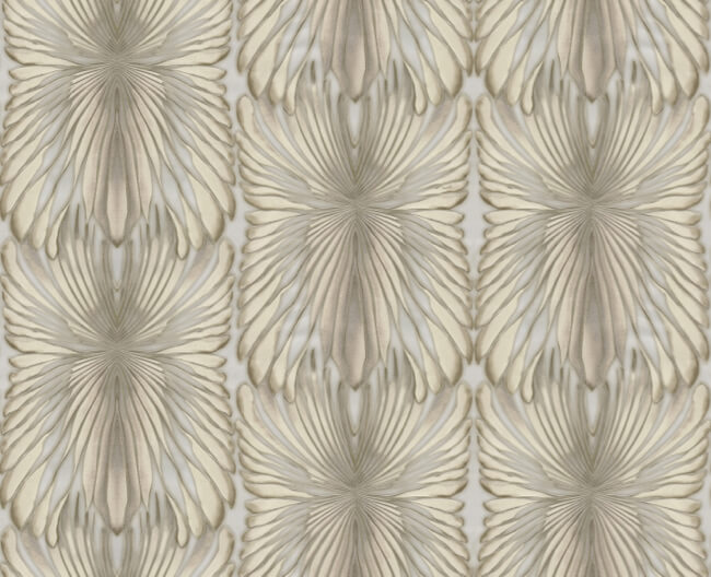 Roberto Cavalli 8 - RC19008