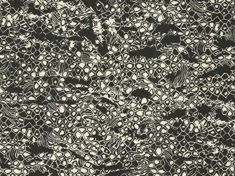 Roberto Cavalli 8 - RC19036