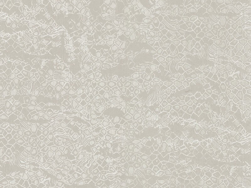 Roberto Cavalli 8 - RC19038