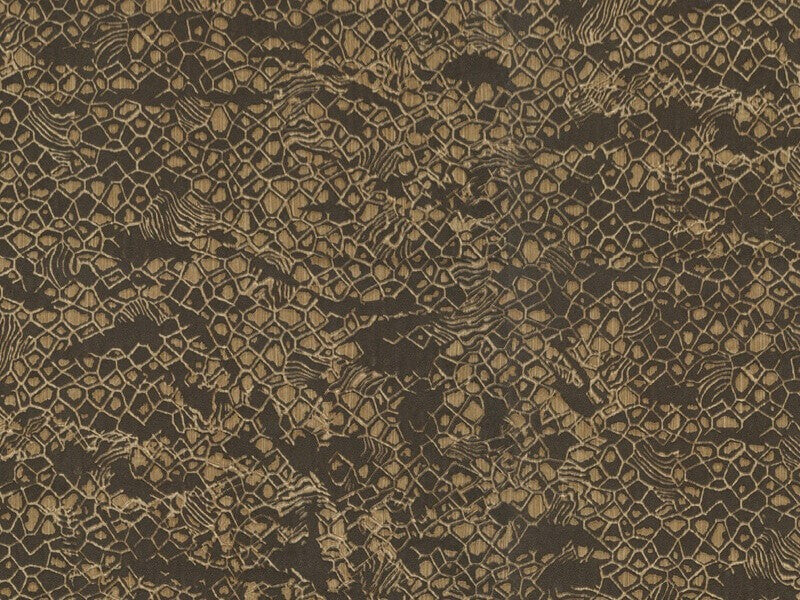 Roberto Cavalli 8 - RC19040