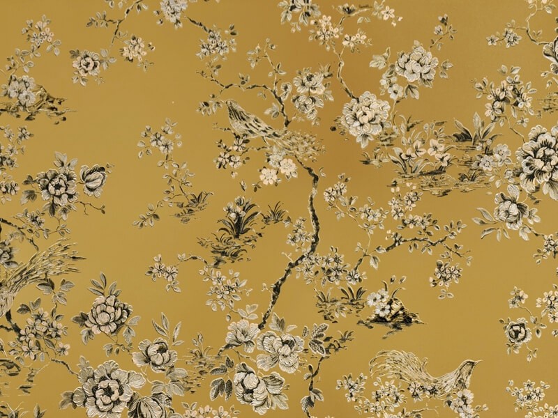 Roberto Cavalli 8 - RC19042
