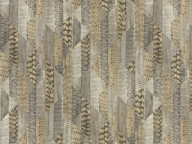 Roberto Cavalli 8 - RC19065