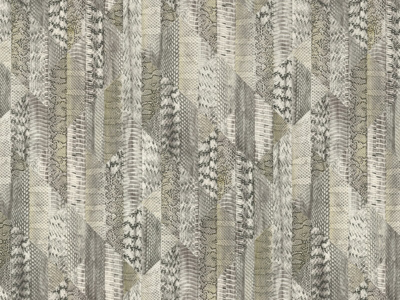 Roberto Cavalli 8 - RC19066