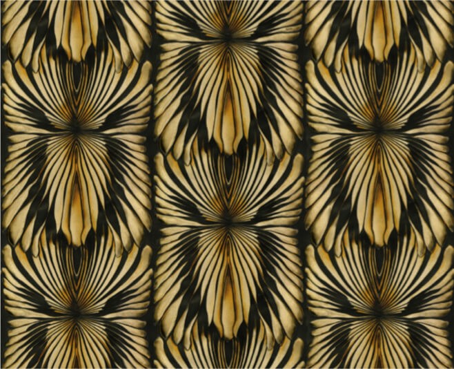 Roberto Cavalli 8 - RC19001