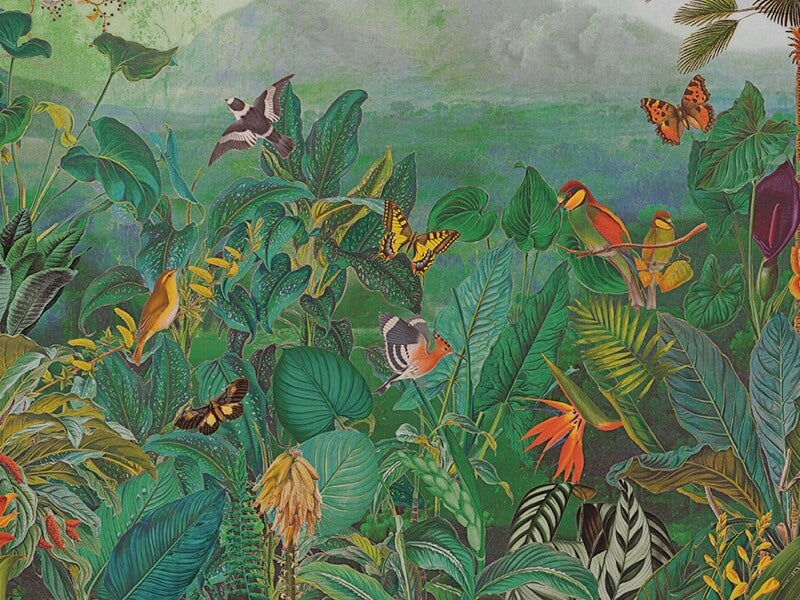 The Tropics - BOP401
