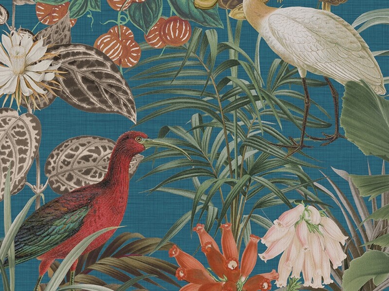 The Wading Birds – BOP501