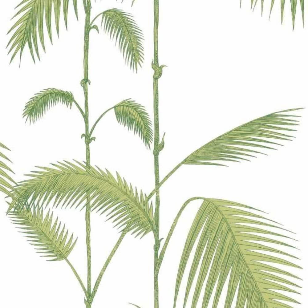 Cole and Son Palm Leaves 95-1009