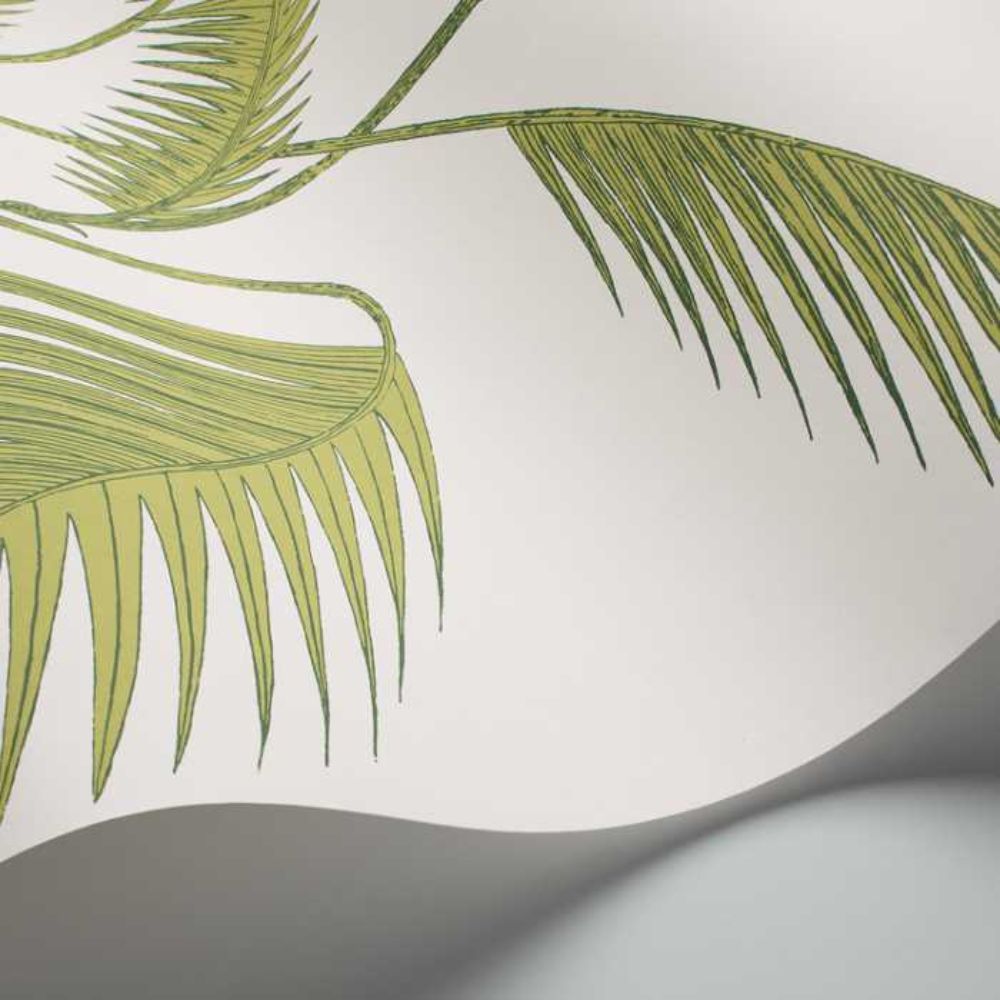 Cole and Son Palm Leaves 95-1009