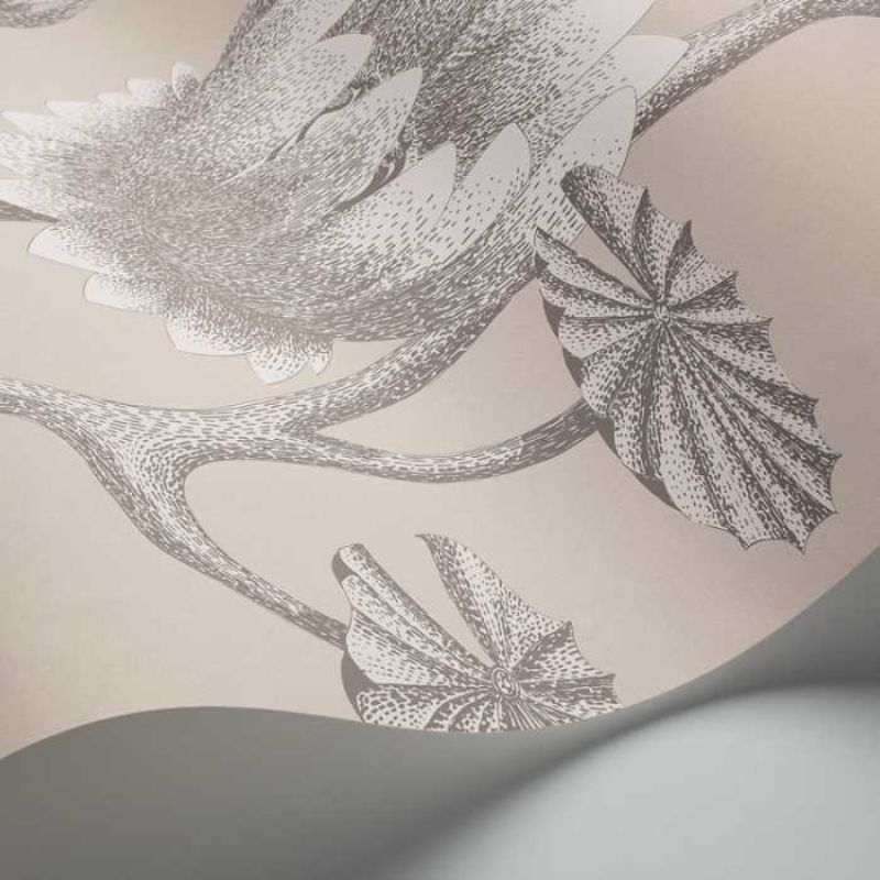 Cole and Son Summer Lily 95/4025